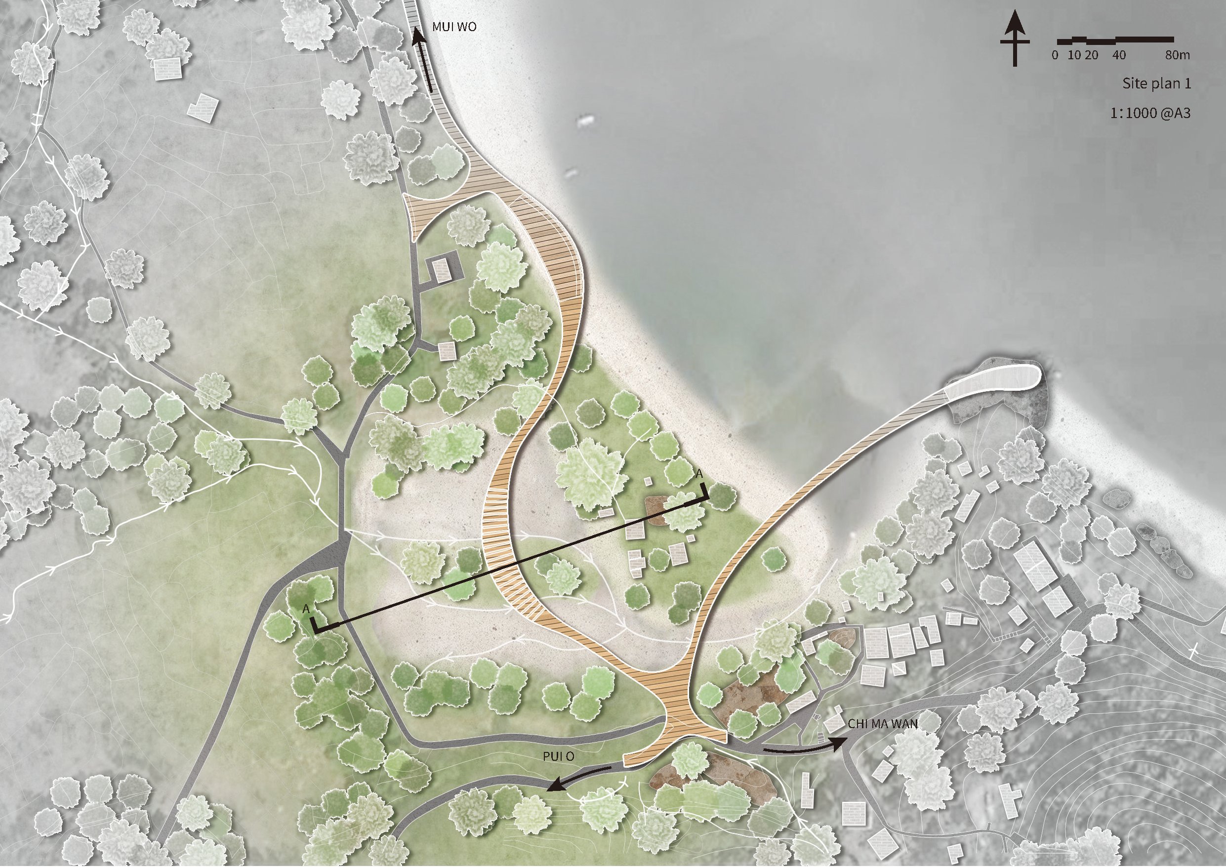 Zone 01 site plan